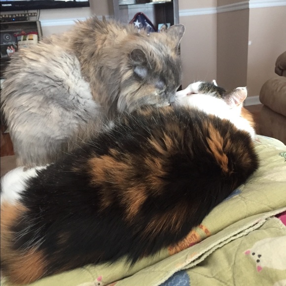 Loving Vibes - Picture 1 of 1